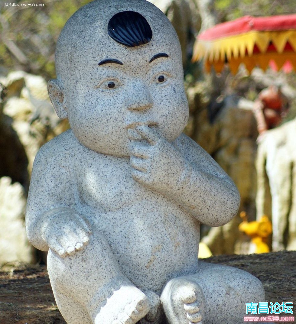 春色南山2011