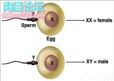 富不过三代，因为美女智商低