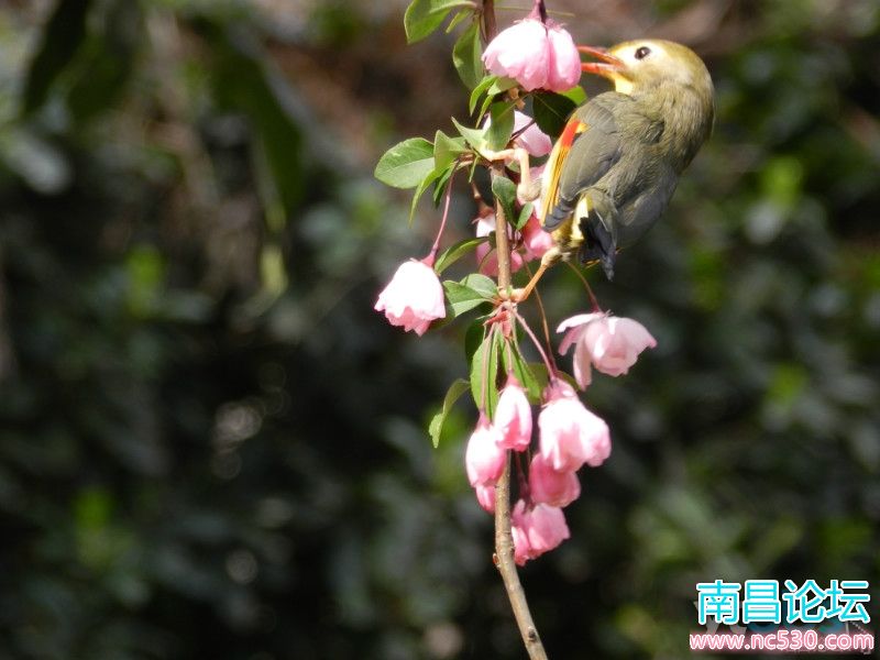 记得时刻给自己充电