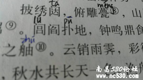 闾旁边的字怎么读？