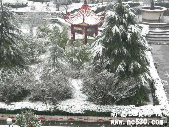 雪景续（加图片）