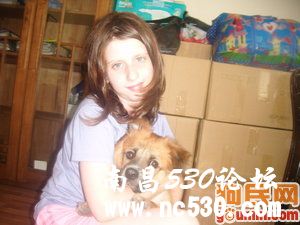 虎咪 564649 其他犬种/其他/unknown