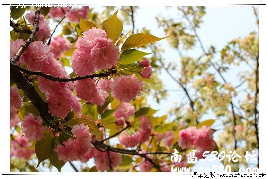 清明小长假，湖南炎陵踏青赏景一日游