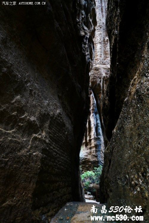 雨中漫步——丹霞龟峰