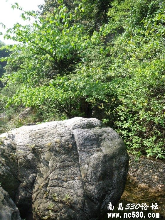 探幽庐山马尾水