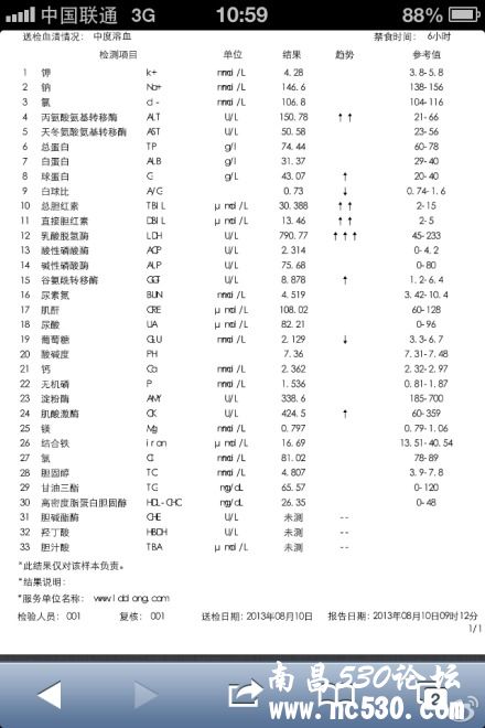 狗狗吐白黄沫，其它一切正常，什么问题呢？