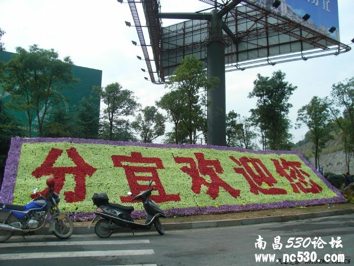 国庆节自驾走进仙女湖、庐山西海的【友谊之旅】