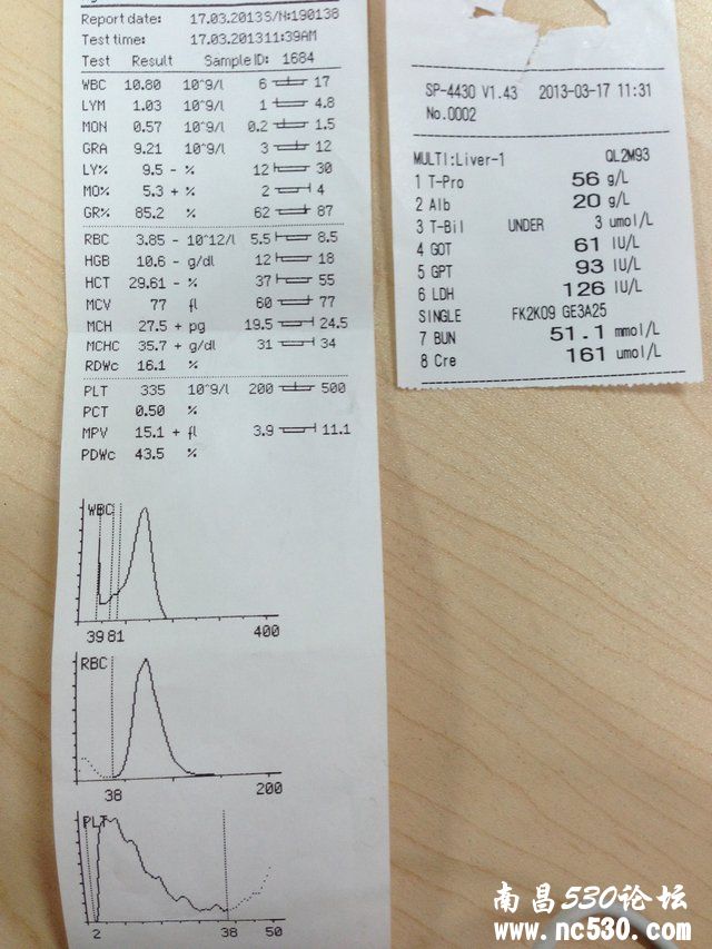 2.5个月的小柯基肾衰