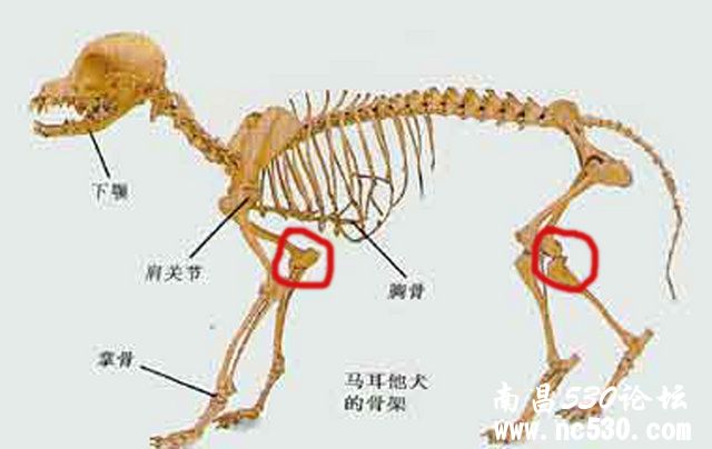 腿的问题~~~