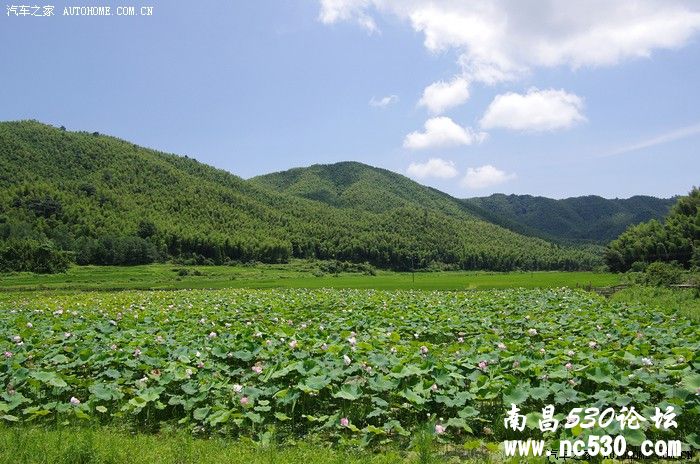 体验夏日里的清凉---7.30仰天峡漂流自驾