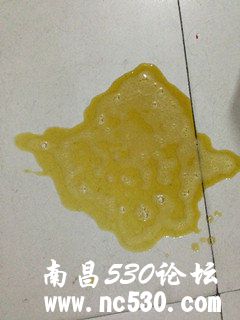 朋友家博美犬瘟了~~急~~求救