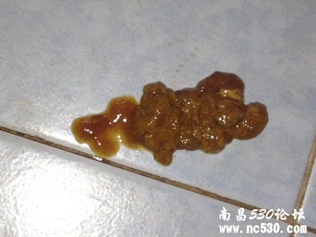 7个月狗狗拉稀带血