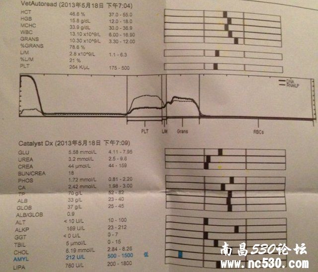 狗狗 穿刺 结果 谢谢大家了