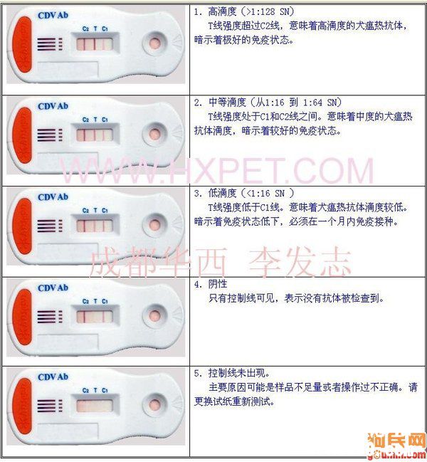 请问如何测试疫苗抗体是否生效？