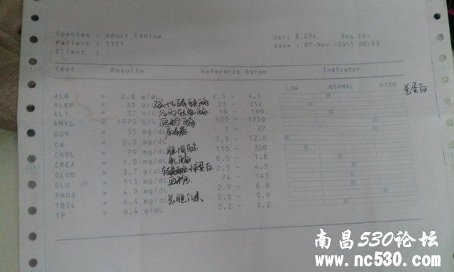 2岁8个月萨摩得了溶血性黄疸