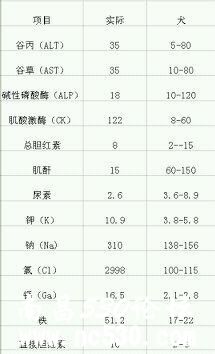 5岁拉布拉多中毒后四肢无法站立