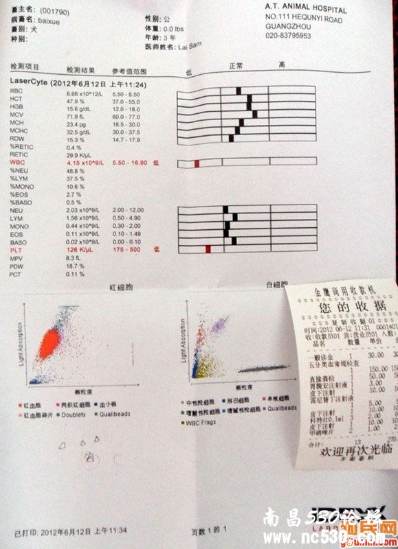 吐黄水，没精神，尿黄，有血常规图