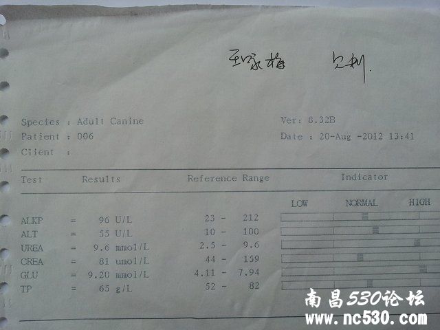 关于膀胱炎的复发 急急急