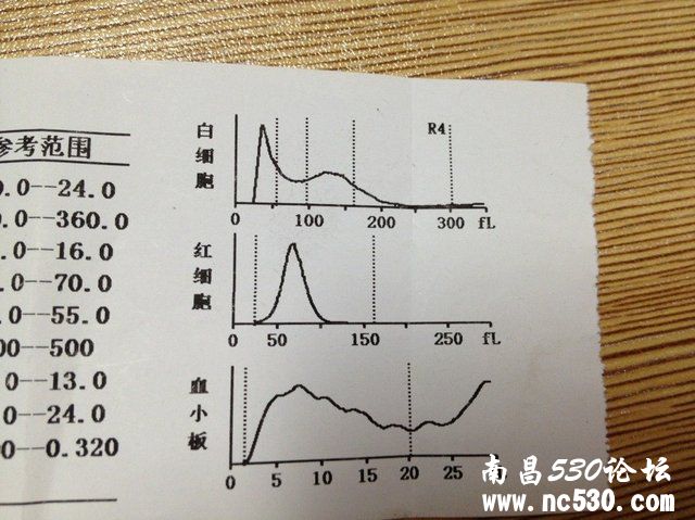 3个月金毛患有比较严重的肺炎，求救。