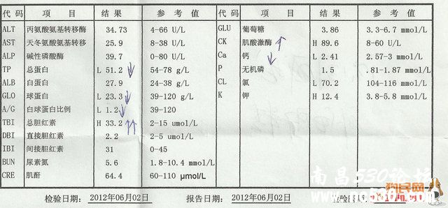 点击察看大图