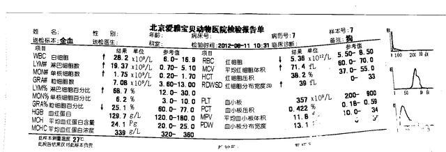 我家狗白细胞和淋巴细胞偏高，怎么治?